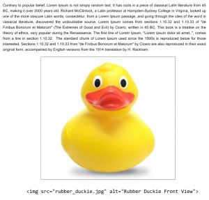 Types_Alt_brief_Rubberducky