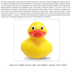 Types_Alt_brief_rubberduck