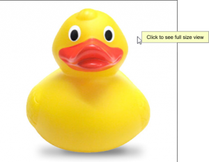 Types_Alt_title_rubberducky